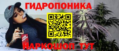 a pvp Краснознаменск